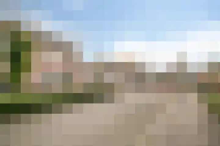 Ringmus 1 IJsselmuiden thumbnail 46