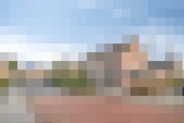 Ringmus 1 IJsselmuiden thumbnail 47
