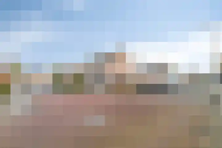 Ringmus 1 IJsselmuiden thumbnail 48