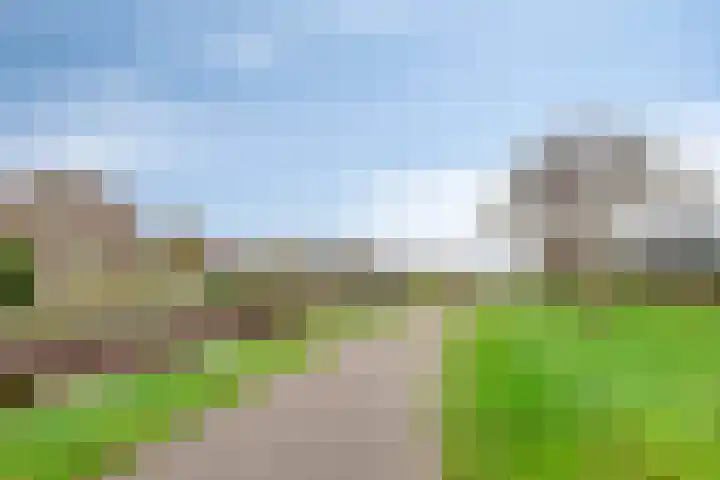 Ringmus 1 IJsselmuiden thumbnail 49