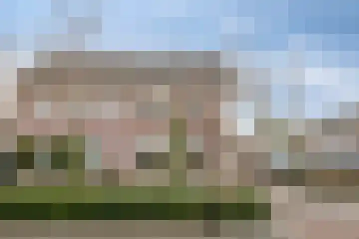 Ringmus 1 IJsselmuiden thumbnail 5
