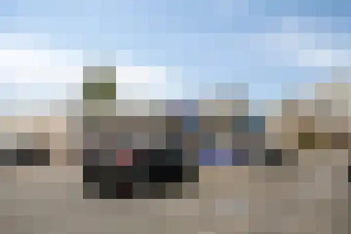 Ringmus 1 IJsselmuiden thumbnail 50