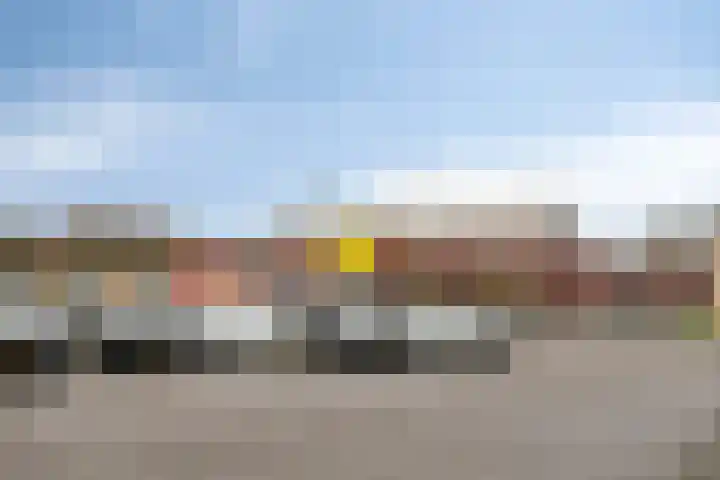 Ringmus 1 IJsselmuiden thumbnail 51