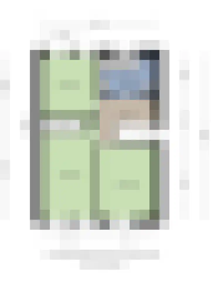 Ringmus 1 IJsselmuiden thumbnail 53