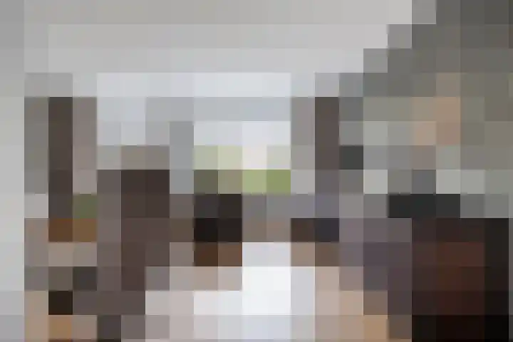 Ringmus 1 IJsselmuiden thumbnail 8