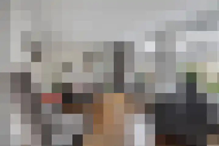 Ringmus 1 IJsselmuiden thumbnail 9