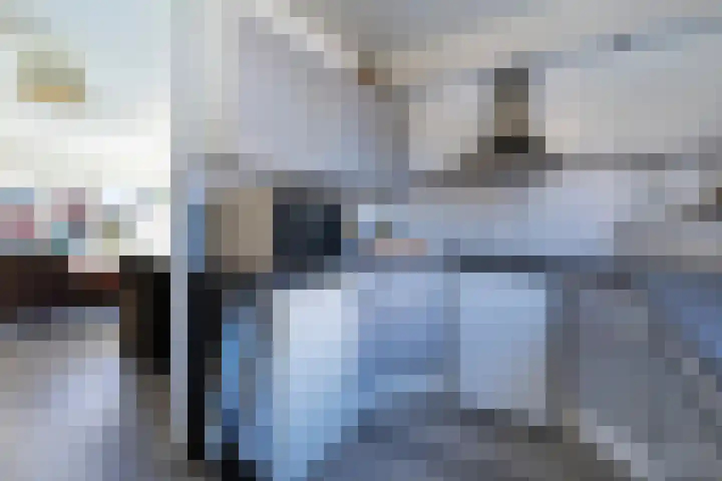Ringmus 1 Nieuwegein thumbnail 14