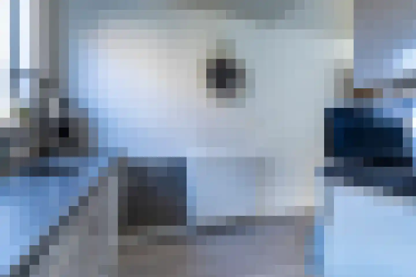 Ringmus 1 Nieuwegein thumbnail 15