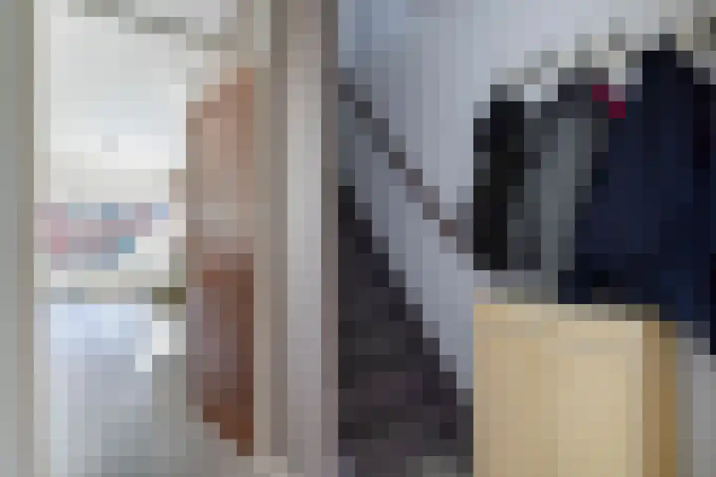 Ringmus 1 Nieuwegein thumbnail 20