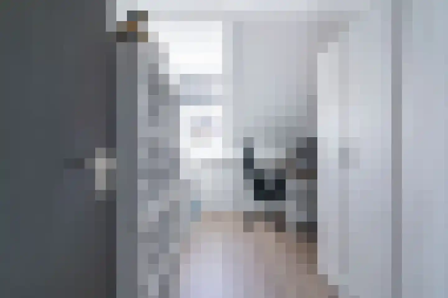Ringmus 1 Nieuwegein thumbnail 23