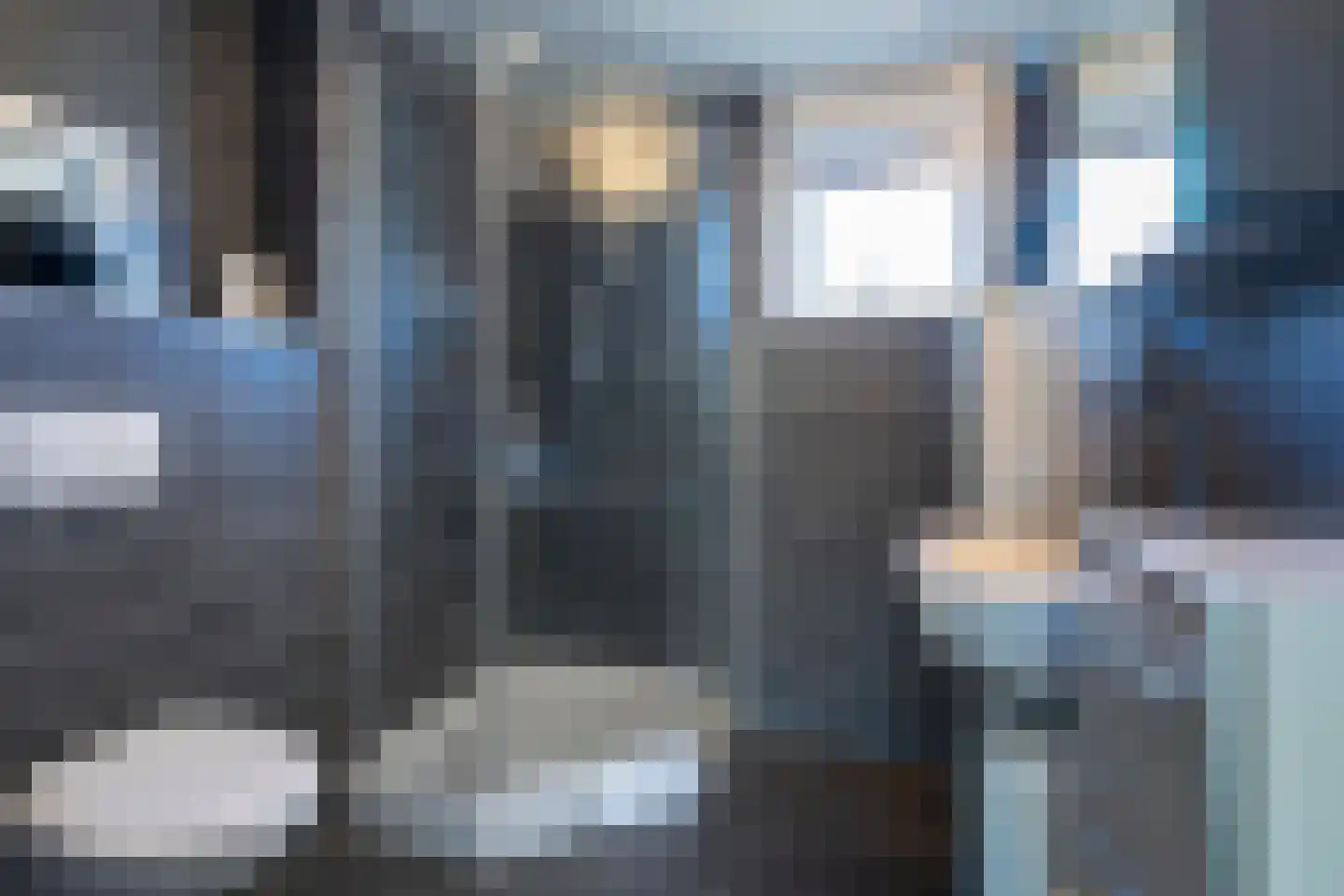 Ringmus 1 Nieuwegein thumbnail 25