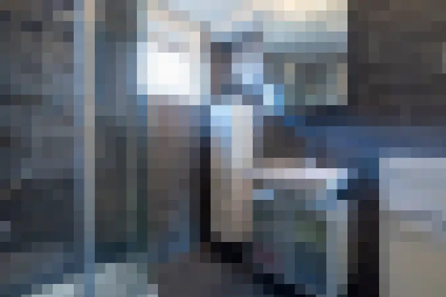 Ringmus 1 Nieuwegein thumbnail 26