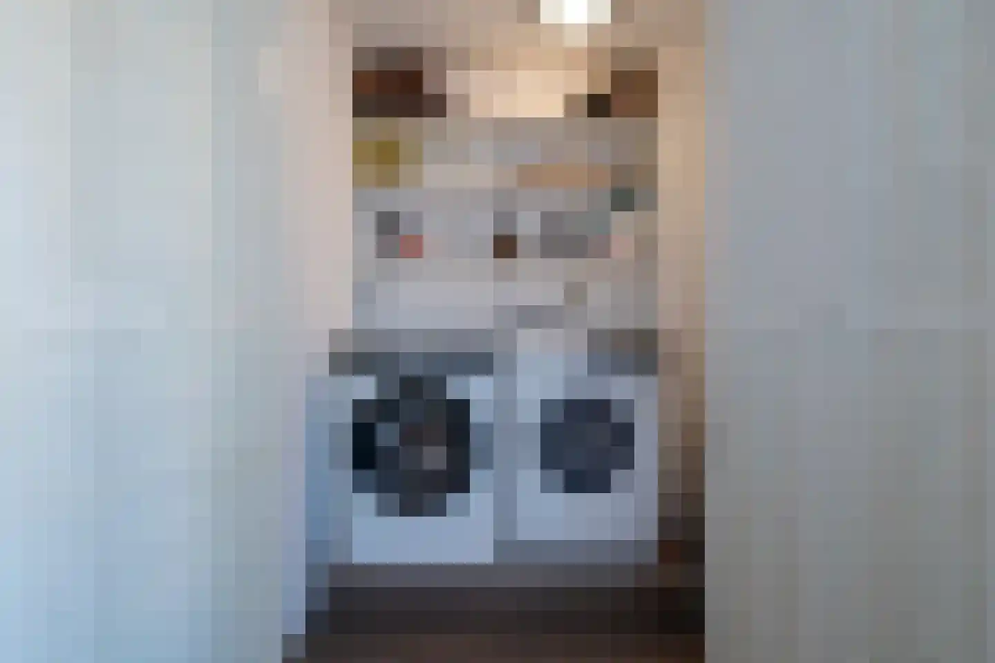 Ringmus 1 Nieuwegein thumbnail 33