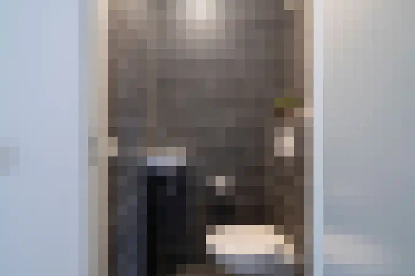 Ringmus 1 Nieuwegein thumbnail 35
