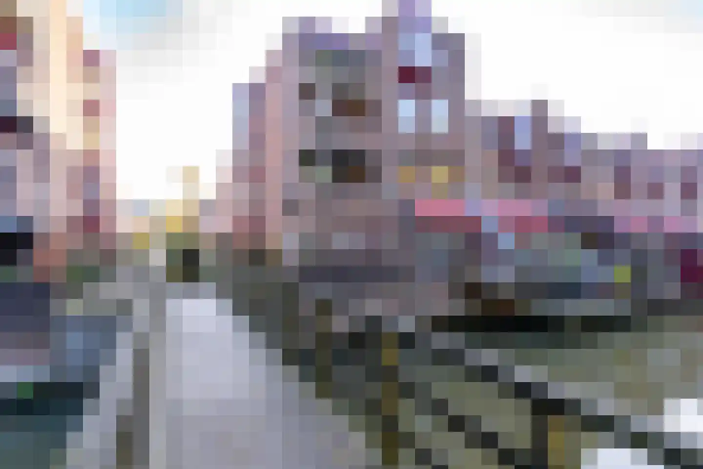 Ringmus 1 Nieuwegein thumbnail 40