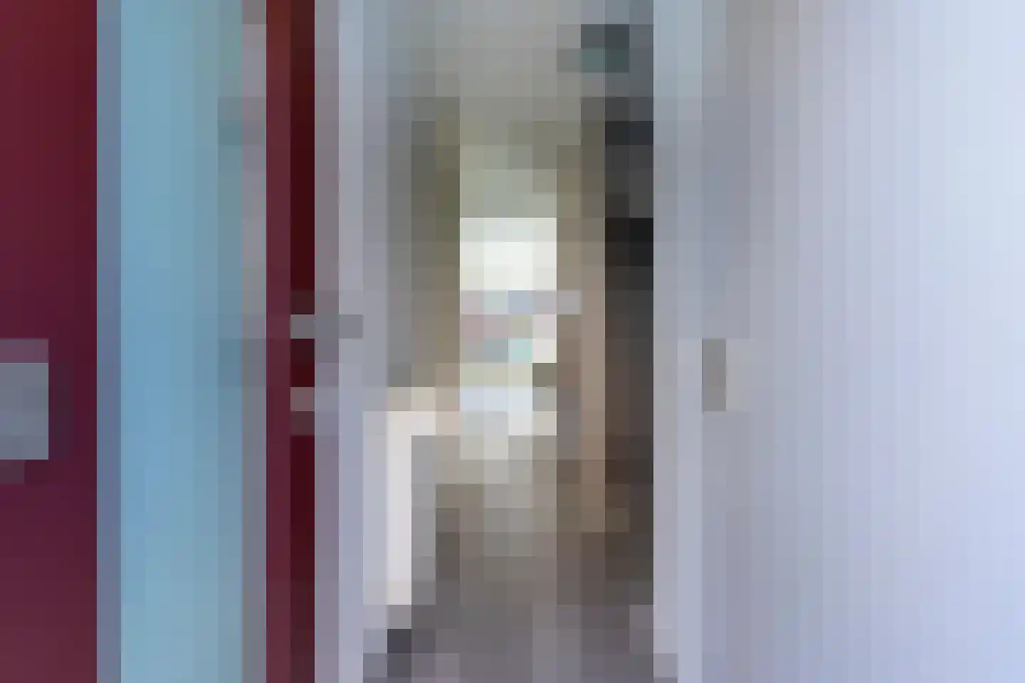 Ringmus 1 Nieuwegein thumbnail 6