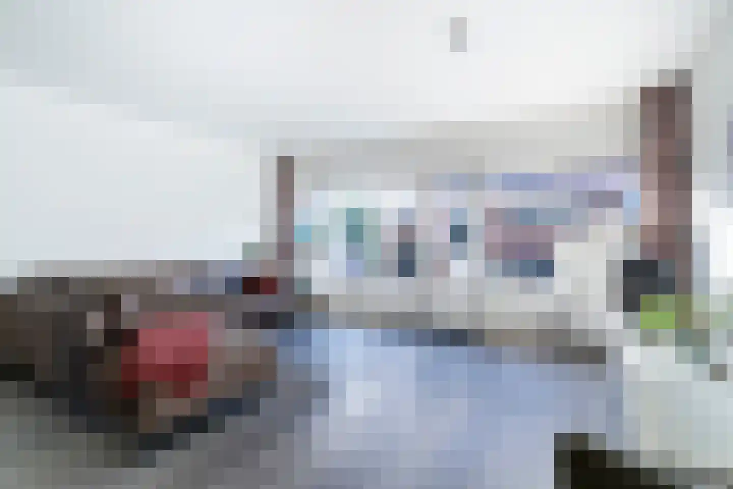 Ringmus 1 Nieuwegein thumbnail 7