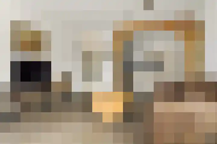 Ringmus 16 Nieuwegein thumbnail 10