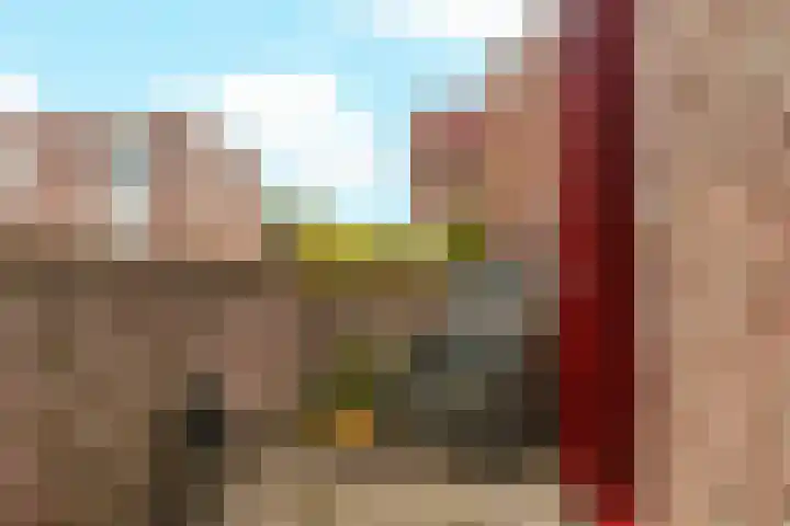Ringmus 16 Nieuwegein thumbnail 14