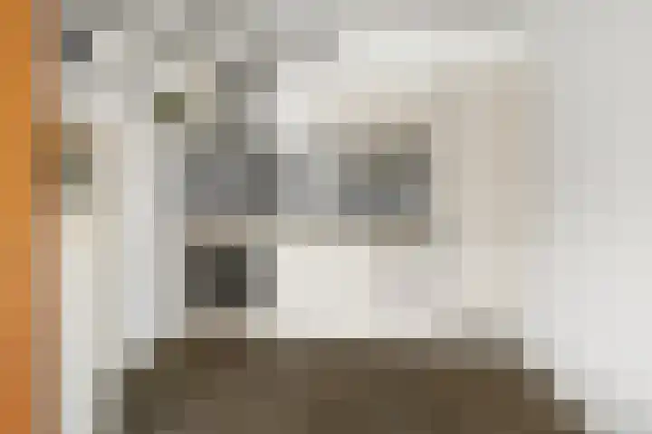 Ringmus 16 Nieuwegein thumbnail 17