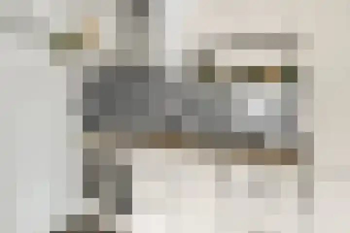 Ringmus 16 Nieuwegein thumbnail 18