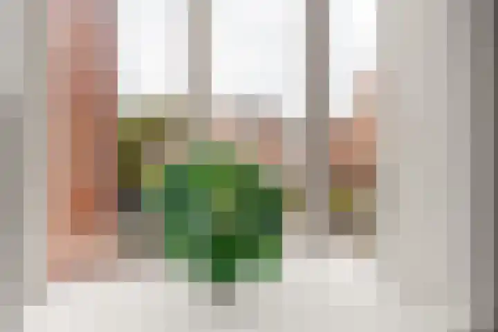Ringmus 16 Nieuwegein thumbnail 20