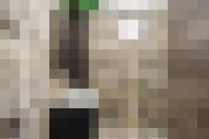 Ringmus 16 Nieuwegein thumbnail 25