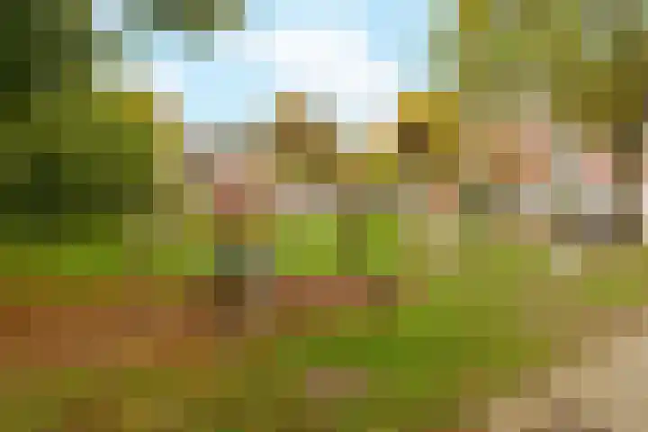 Ringmus 16 Nieuwegein thumbnail 27