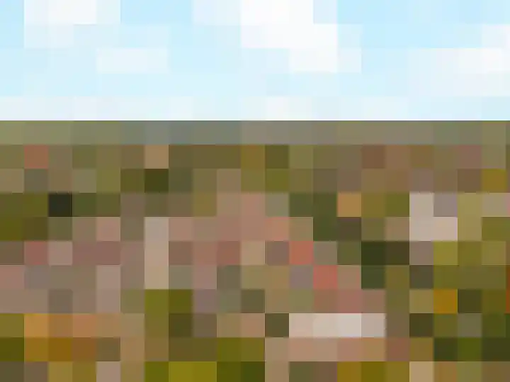Ringmus 16 Nieuwegein thumbnail 29