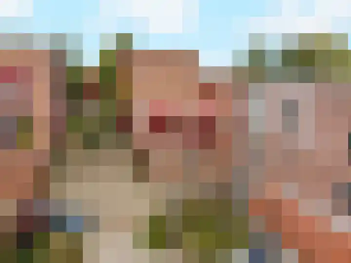 Ringmus 16 Nieuwegein thumbnail 4