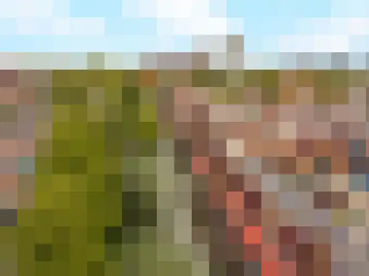 Ringmus 16 Nieuwegein thumbnail 5