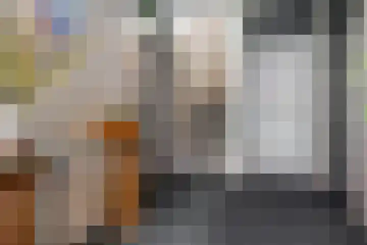Ringmus 16 Nieuwegein thumbnail 6