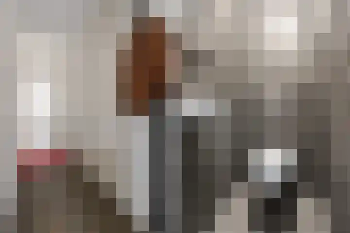 Ringmus 16 Nieuwegein thumbnail 7