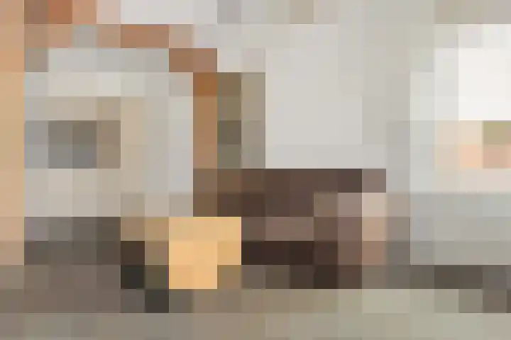 Ringmus 16 Nieuwegein thumbnail 9