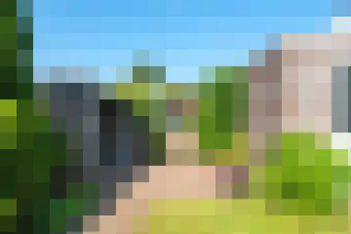 Ringmus 20 Heemskerk thumbnail 17