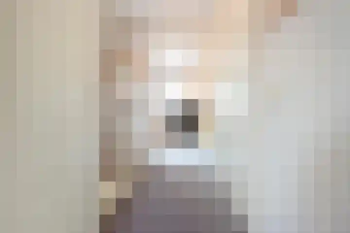 Ringmus 20 Heemskerk thumbnail 22