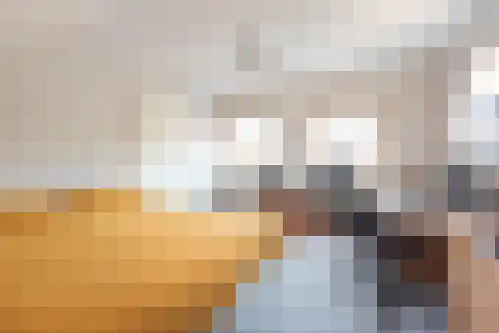 Ringmus 20 Heemskerk thumbnail 27