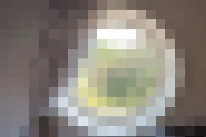 Ringmus 20 Heemskerk thumbnail 28