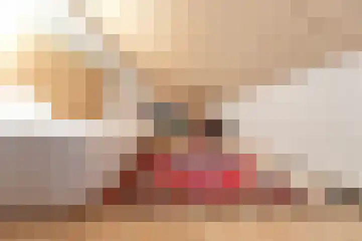 Ringmus 20 Heemskerk thumbnail 31