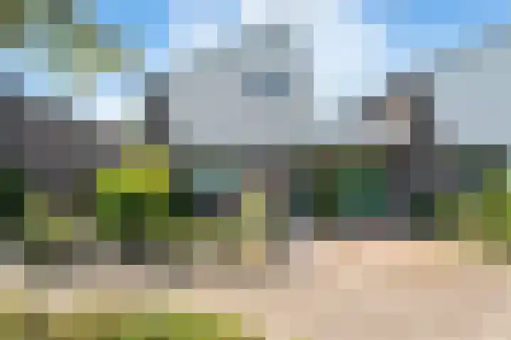 Ringmus 20 Heemskerk thumbnail 32