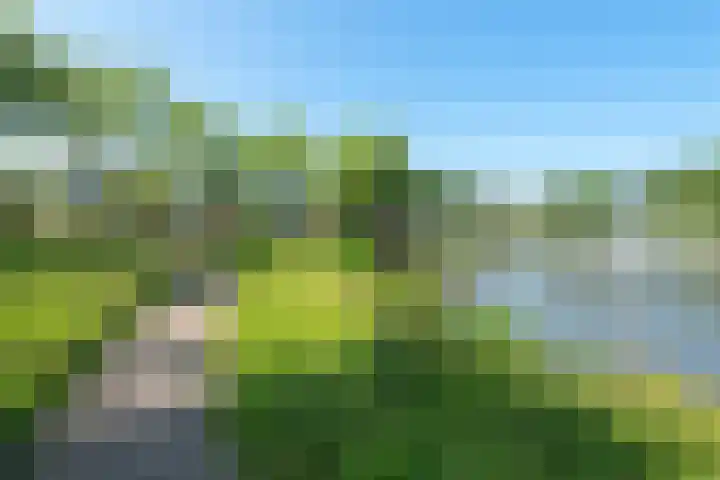 Ringmus 20 Heemskerk thumbnail 34