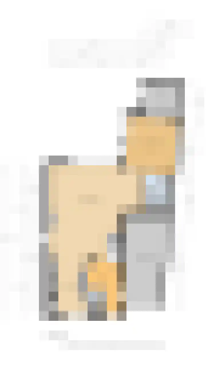 Ringmus 20 Heemskerk thumbnail 36