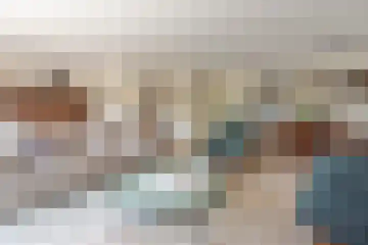 Ringmus 20 Heemskerk thumbnail 4