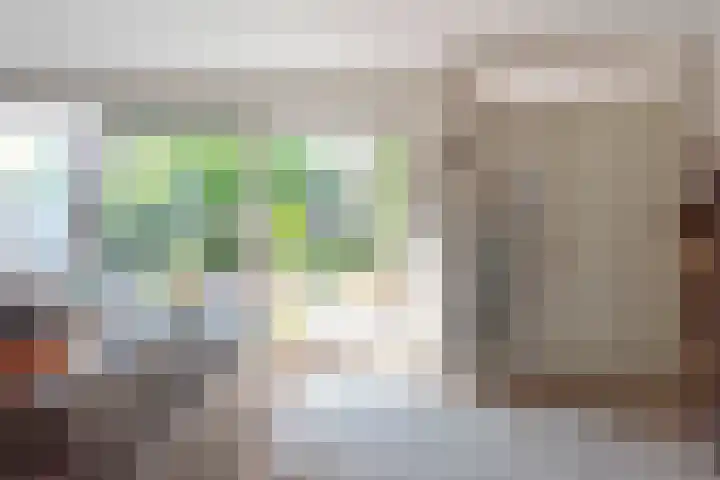 Ringmus 20 Heemskerk thumbnail 6