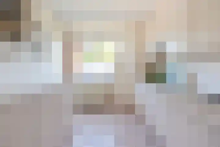 Ringmus 20 Heemskerk thumbnail 8