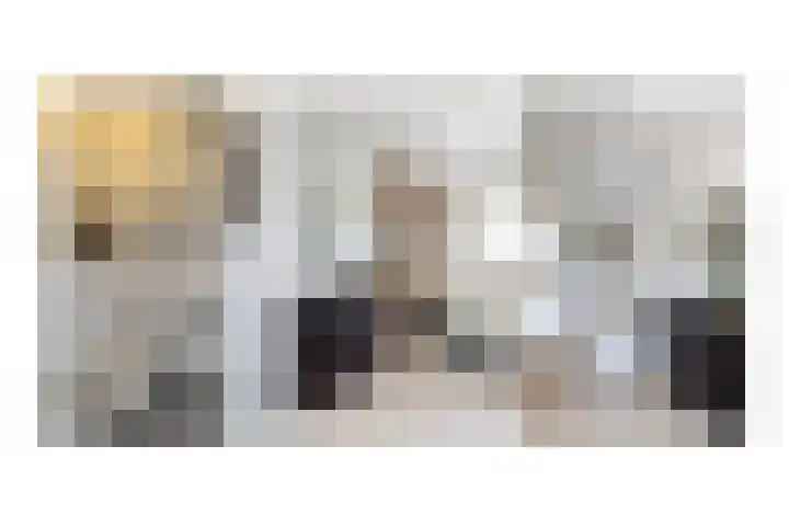 Ringmus 47 Olst thumbnail 11