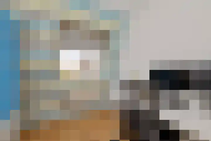 Ringmus 47 Olst thumbnail 15