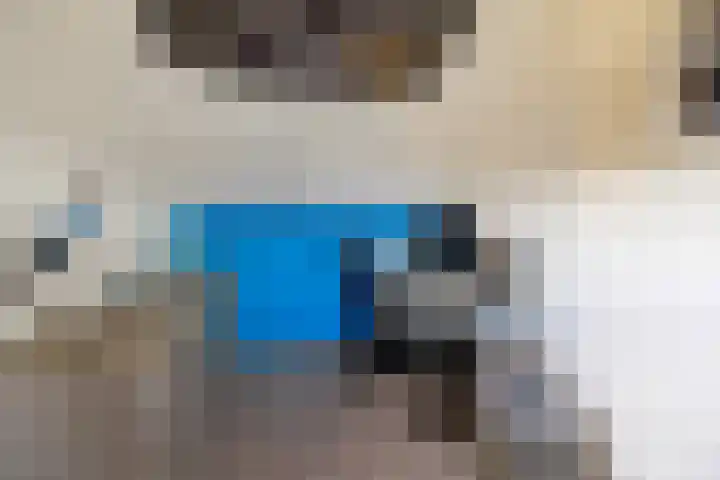 Ringmus 47 Olst thumbnail 23