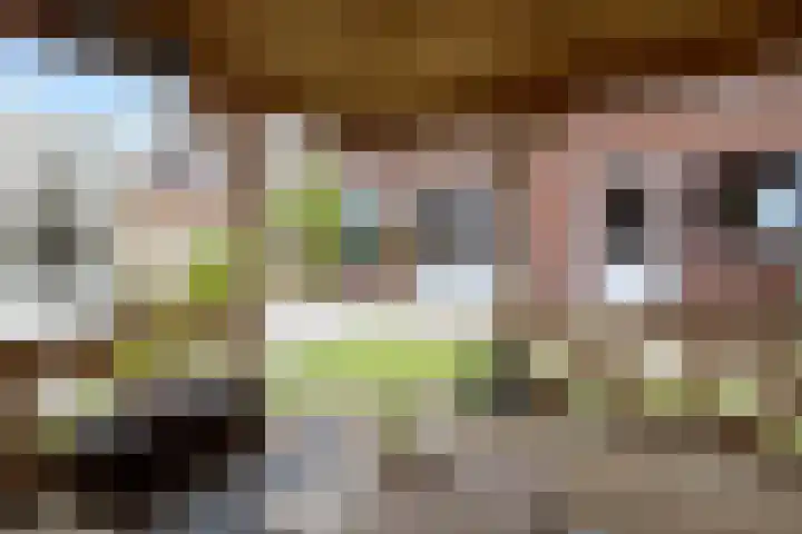 Ringmus 47 Olst thumbnail 30