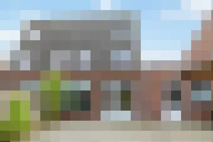 Ringmus 47 Olst thumbnail 31